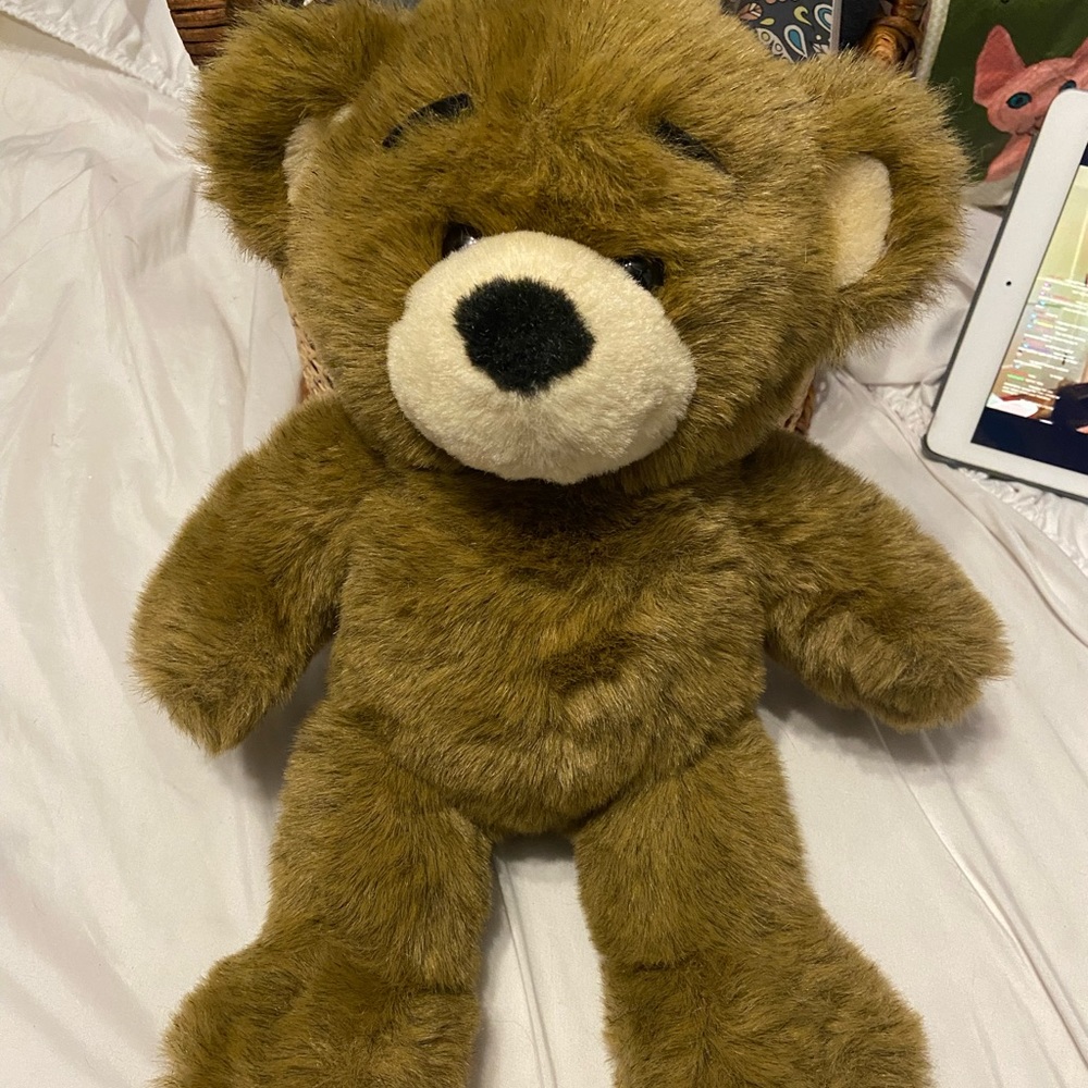 Build A Bear Bearemy - Retired